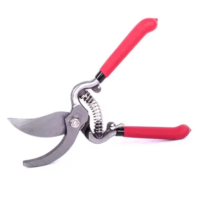 Секатор садовий Intertool, 200 мм