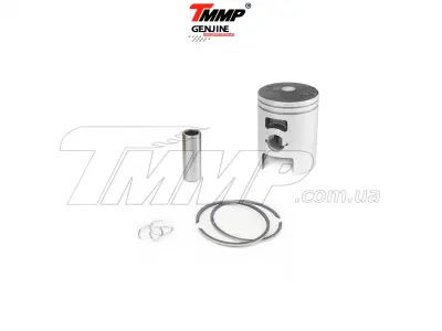 Поршень Honda DIO 50 0,25 (Ø39,25) (TM)