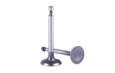Клапани двигуна 156F (4 HP), пара, тип 2 AMG