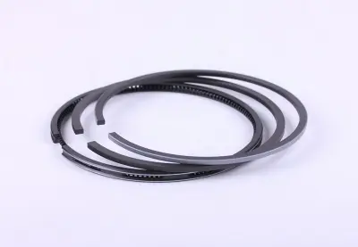 Кільця поршневі Ø100 мм DLH-1100 Xingtai 160 AMG, комплект на 1 поршень