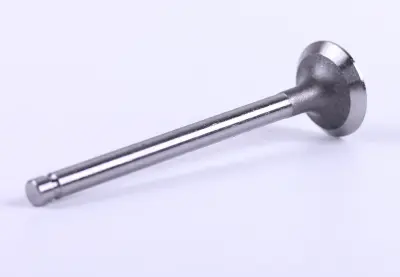 Клапан випускний ZN490BT ZN390 ZN485 DongFeng 404 Chery 244/354/404 AMG