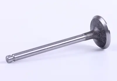 Клапан впускний ZN490BT ZN390 ZN485 DongFeng 404 Chery 244/354/404 AMG
