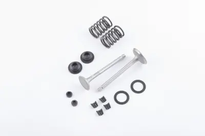 Клапаны для мотоблока 186F (9Hp) BEST (mod.A), пара в сборе